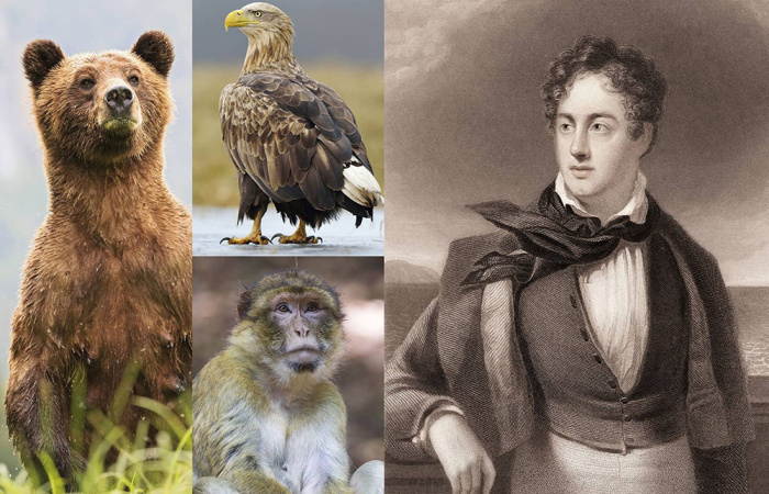 Лорд Байрон держал самых разных животных.