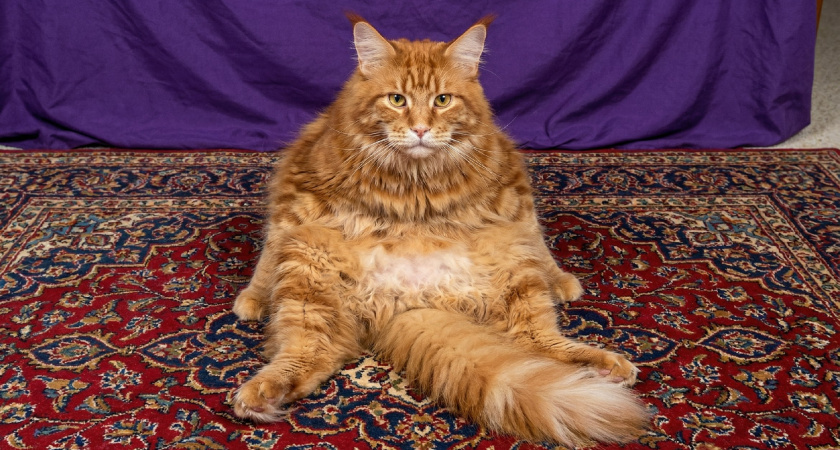    фото из архива редакции