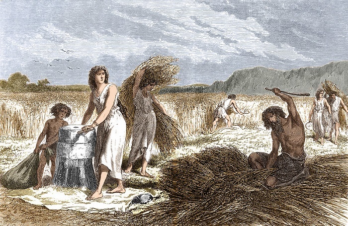 Сельское хозяйство в эпоху Железного века. 