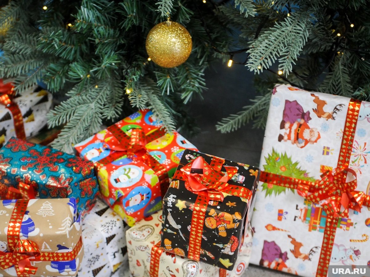     Курганские политики раскрыли, что подарили семье на Новый год