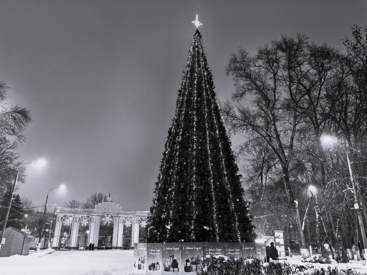 История зимних праздников в России полна интересных трансформаций.  Фото: ФедералПресс / Ксения Кобалия