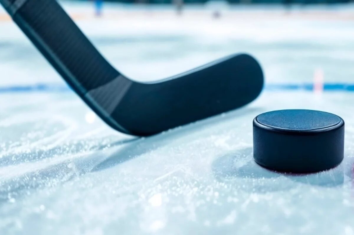    Большинству спортклубов Новосибирска урежут финансирование в 2026 году