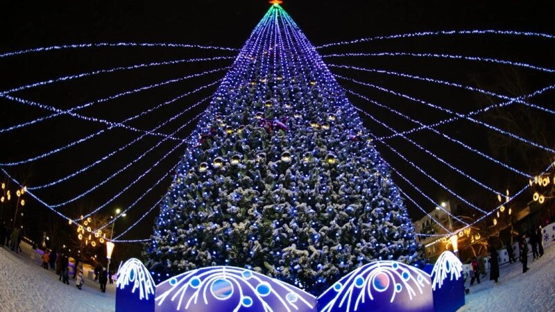     Открытие новогодней елки на пл. Свободы. Дмитрий Лямзин