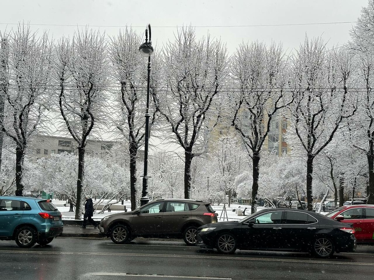     Фото: Бриф24