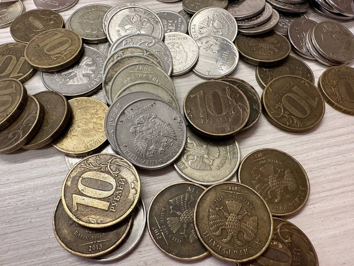    Фото: Бриф24