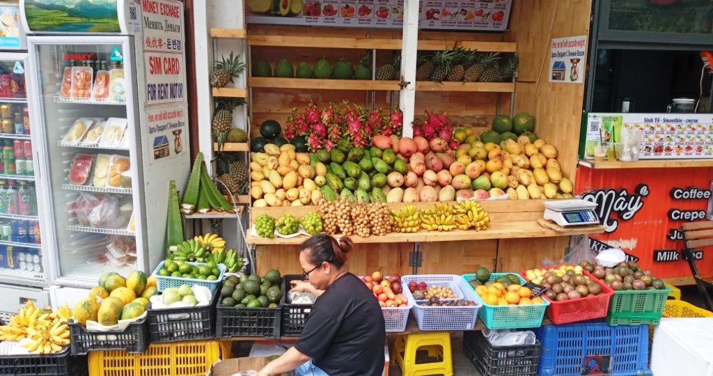 Сколько нужно денег, чтобы НОРМАЛЬНО жить пенсионеру во Вьетнаме (не выживать)