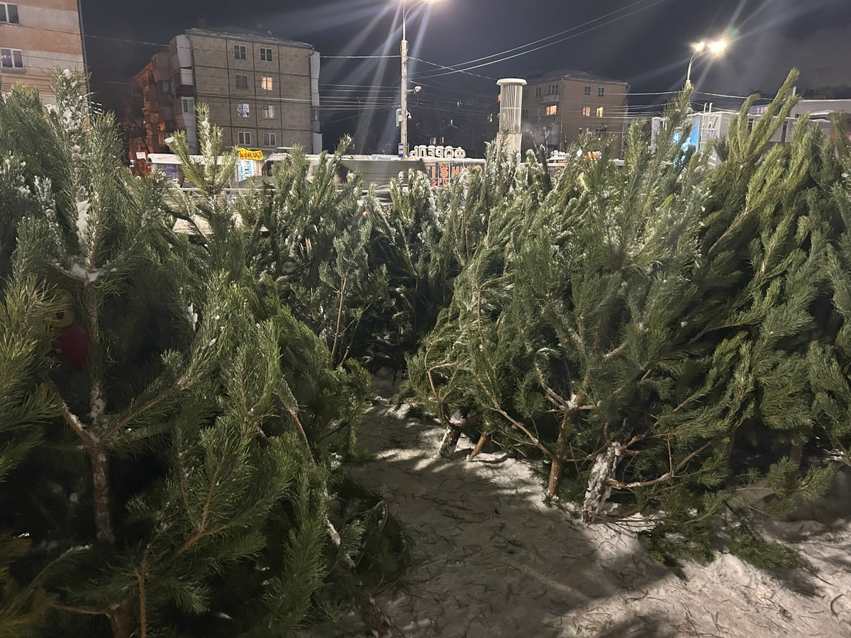    Фото: Анастасия Максименко