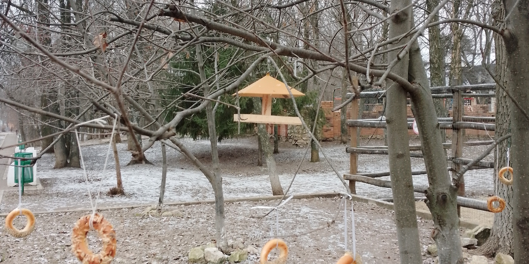 Зимние зарисовки.