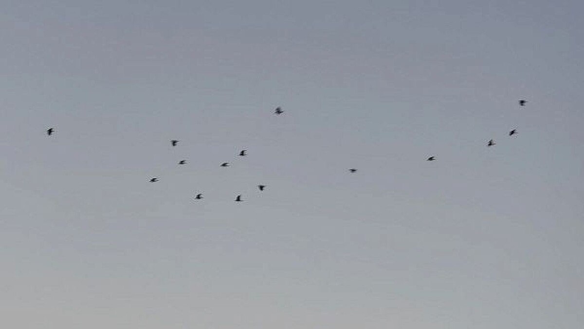    Фото: телеканал «Краснодар»