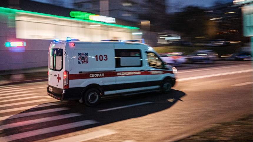    Фото: ИЗВЕСТИЯ/Сергей Виноградов