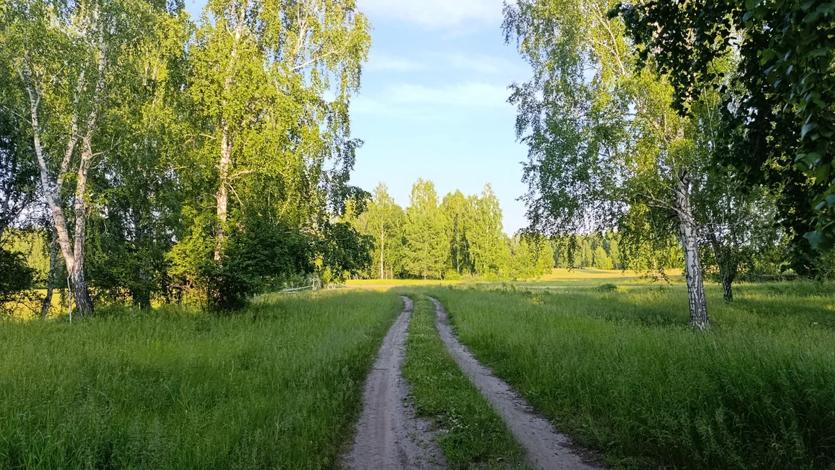 вот сюда хочу