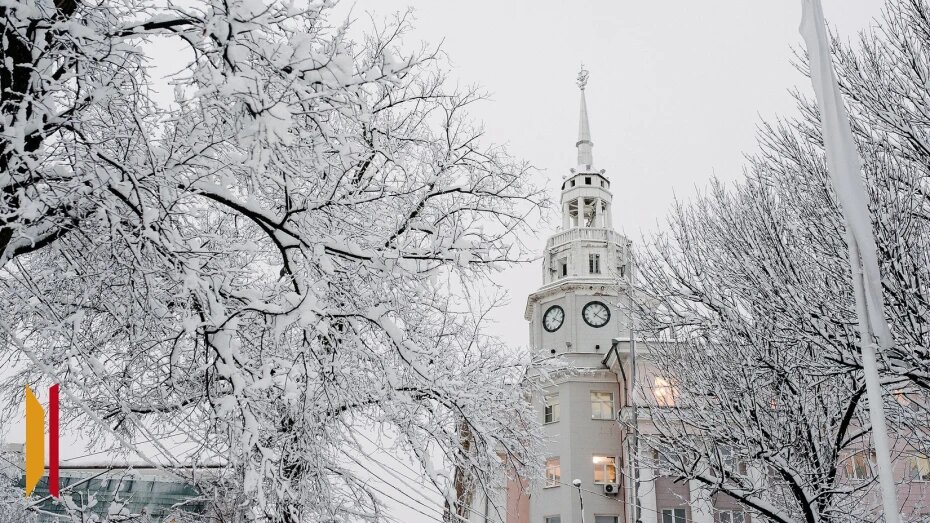    Автор фото: архив РИА «Воронеж»