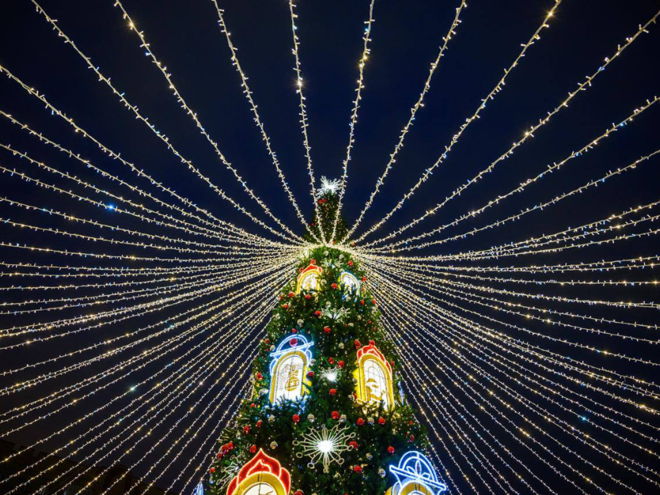    Фото: администрация Дмитровского округа