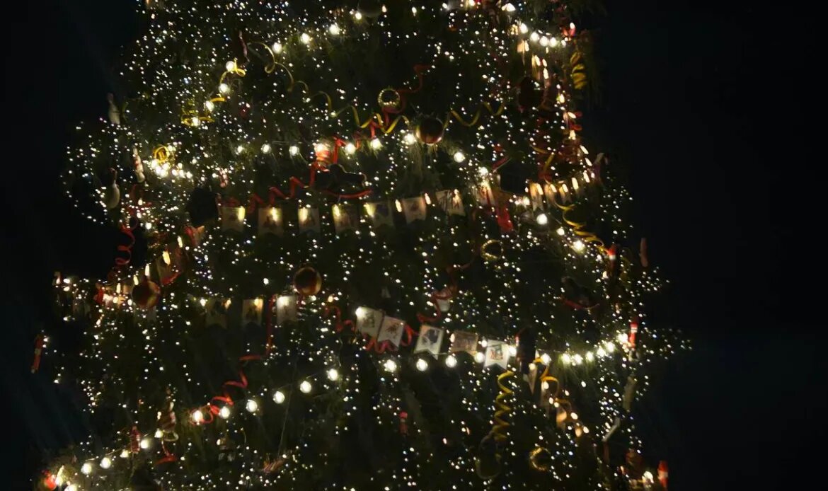    Фото: abn.agency