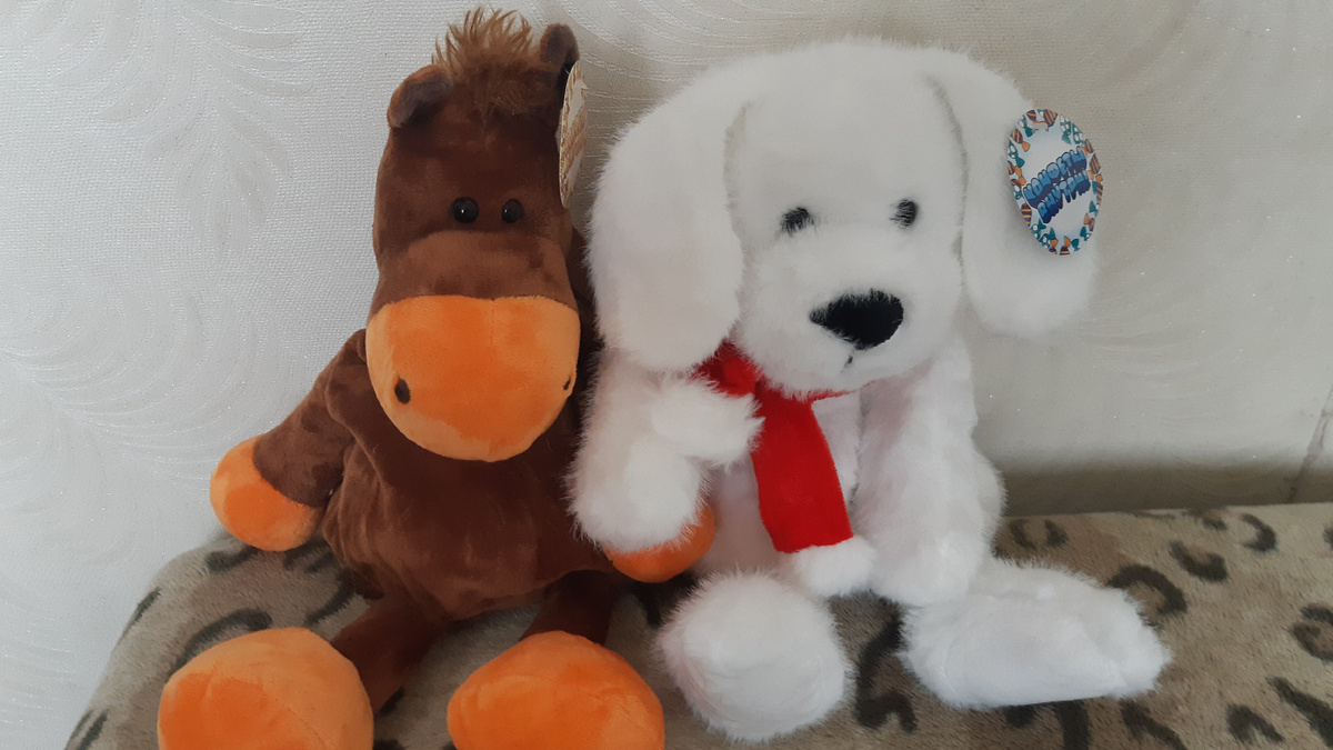 Лошадку Владик выбрал, а собачку - Слава