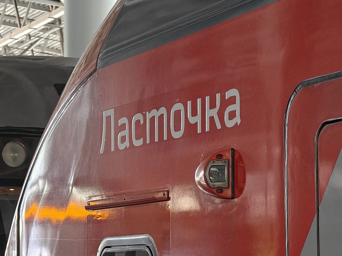    Фото: Юрий Серебренников/BFM Кубань