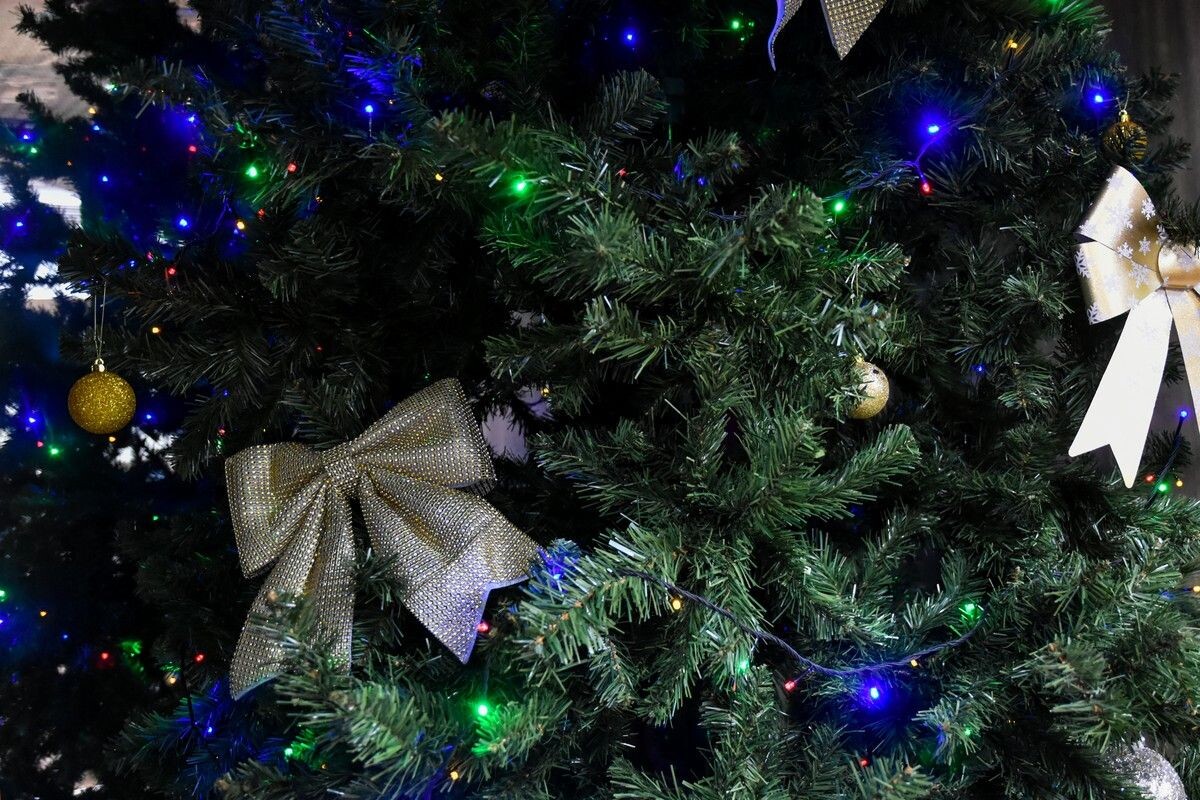 Фото: ИА "Регион71"