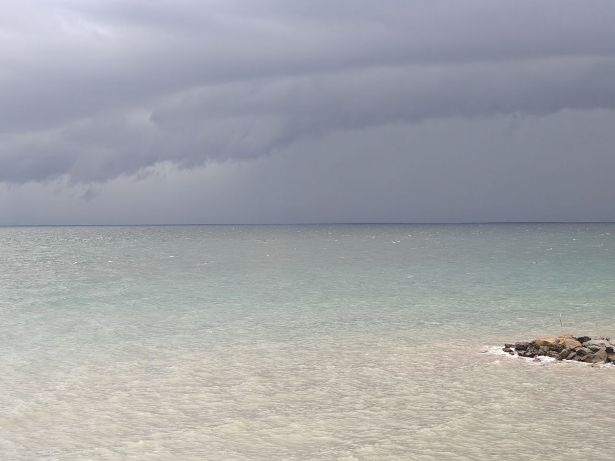    Фото: Юрий Серебренников/BFM Кубань