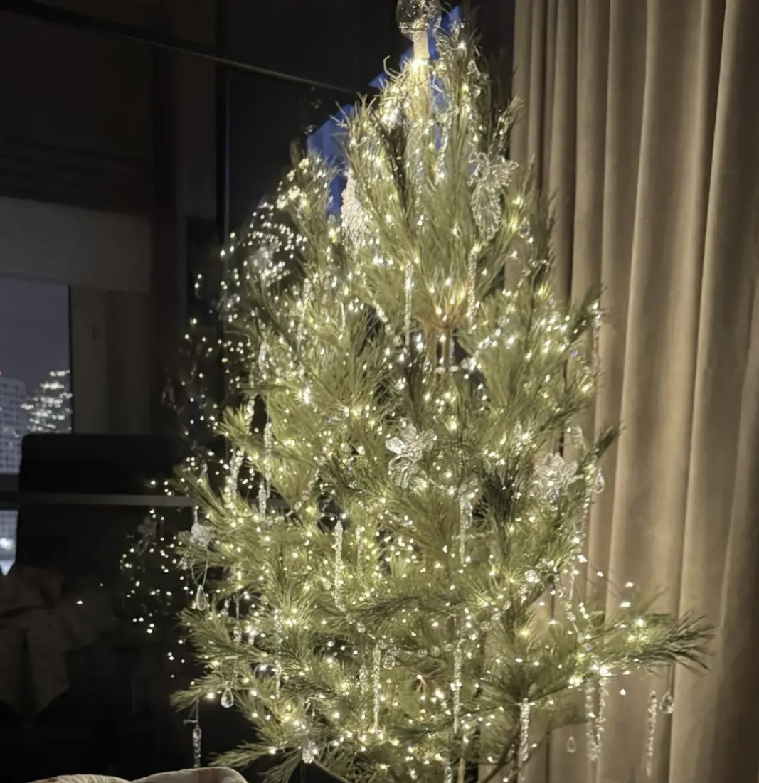 Елка дочери с зятем 