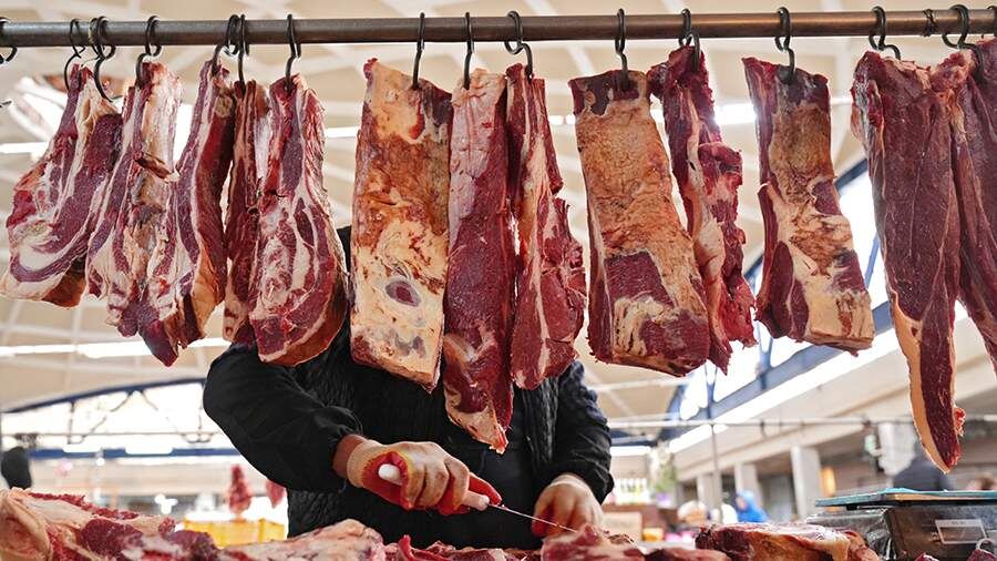    Фото: ИЗВЕСТИЯ/Эдуард Корниенко