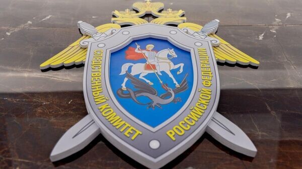    © ТГ-канал Сергея Аксенова