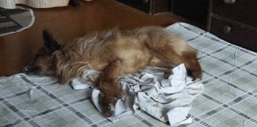 Ещё очень люблю спать на полу 