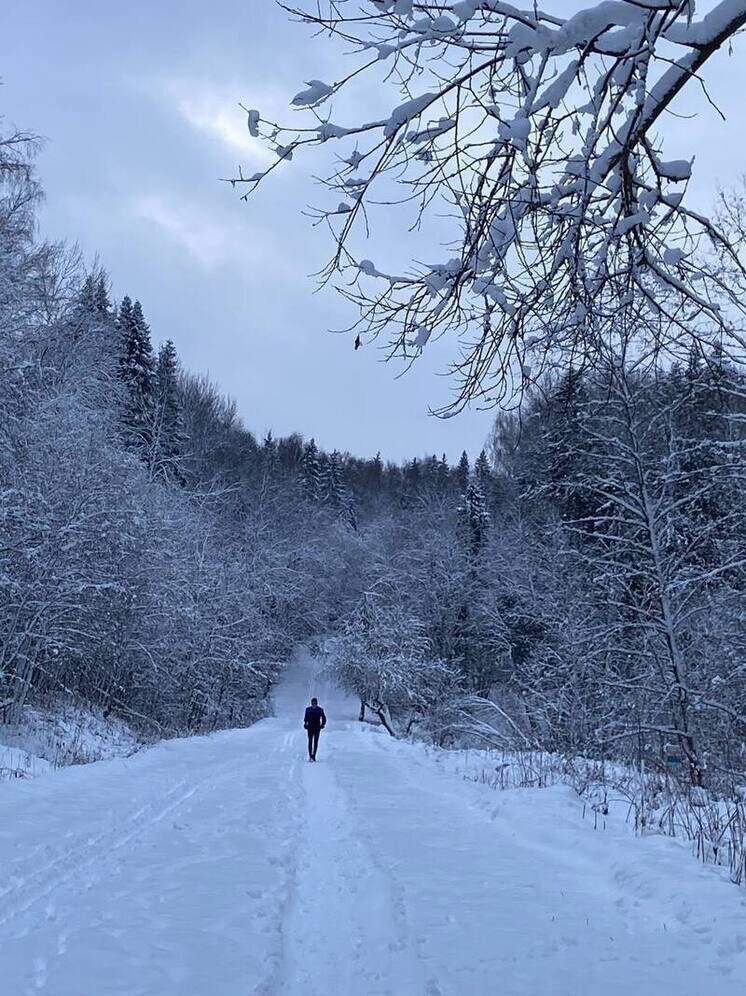   Елена Полякова