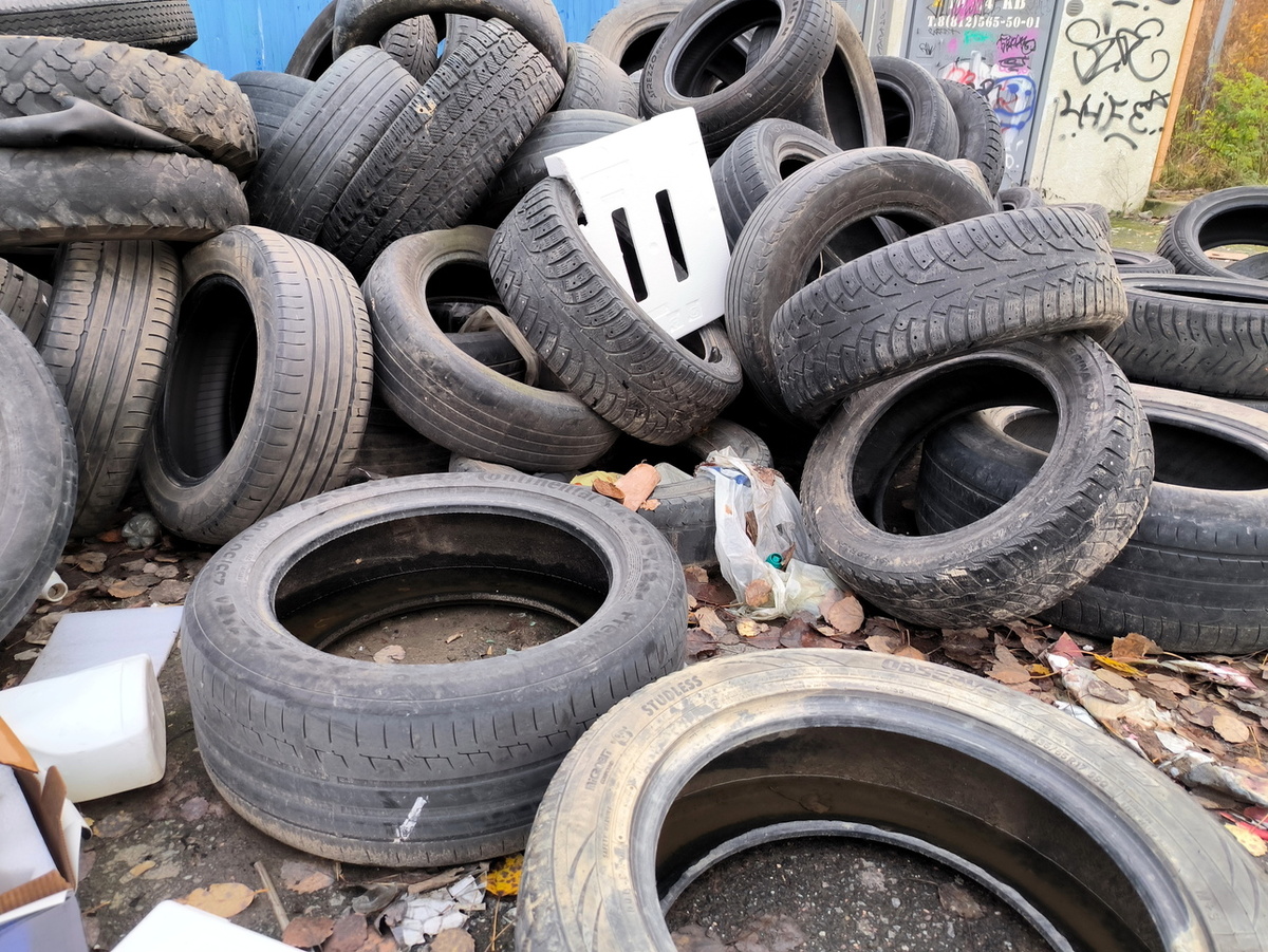     Фото: Maksim Konstantinov/globallookpress.com