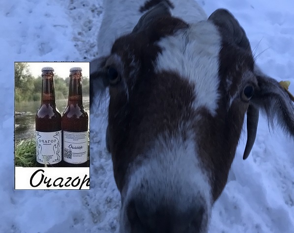 2026 год. А жизнь-то налаживается…..