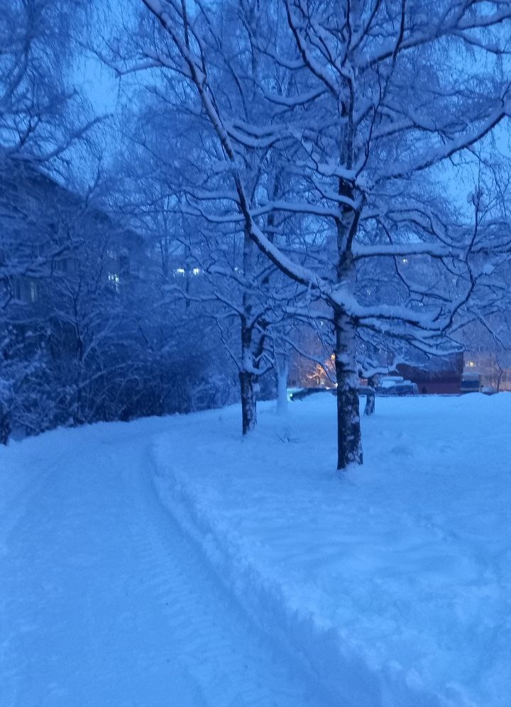 Мороз и очень много снега.