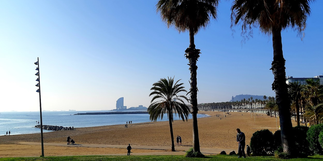 Как работают приметы? Иногда- наоборот.