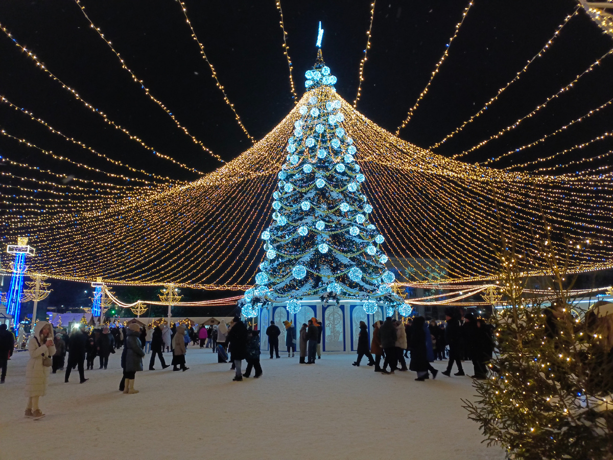 Воронежская ёлочка