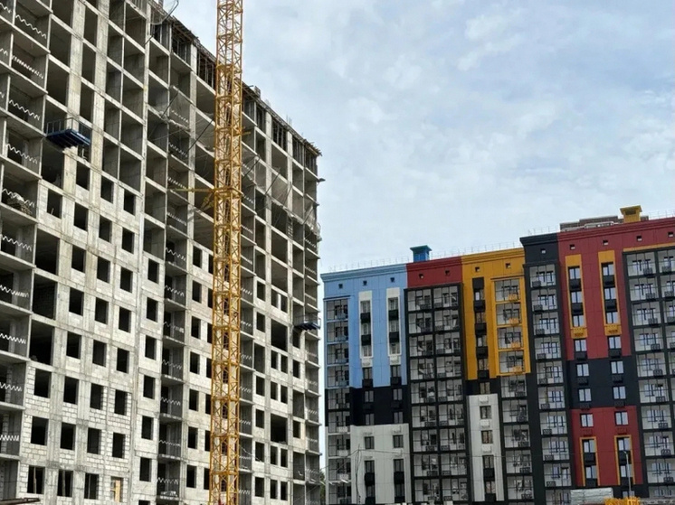     22 семьи из Хабаровского края получат выплаты на покупку жилья по краевой ипотеке. Фото: пресс-служба министерства строительства Хабаровского края