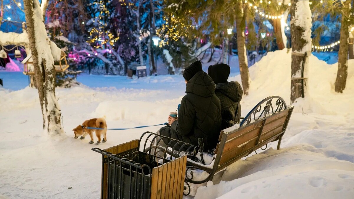    Фото: Сергей Зубков / «Ямал-Медиа»