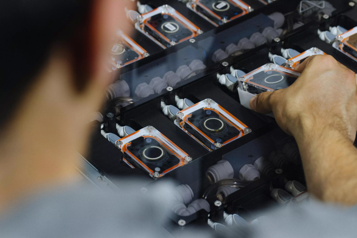 Фото: Neuralink  📷
