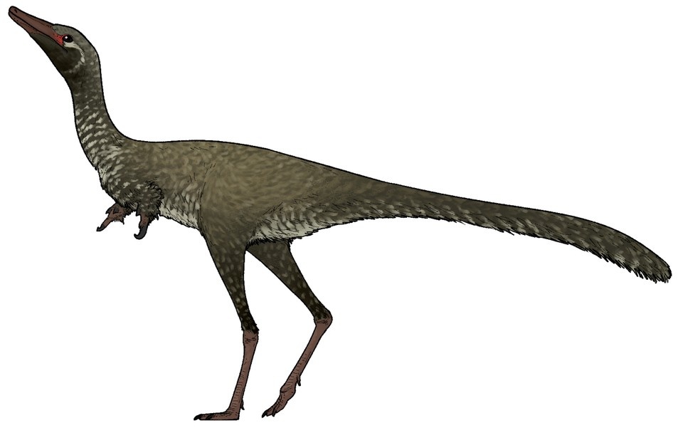    Существо, известное как Manipulonyx reshetovi, жило примерно 60-100 миллионов лет назад. ru.wikipedia.org