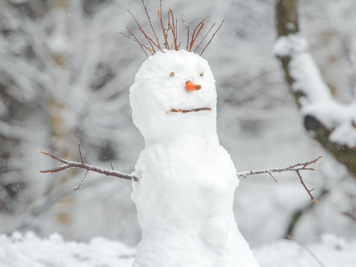    Снеговик | © Fotolia / nkarol