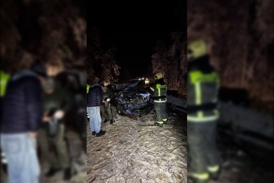    Одна из легковушек после столкновения наехала еще на упавшее на проезжую часть дерево. Фото: МЧС Ленинградской области