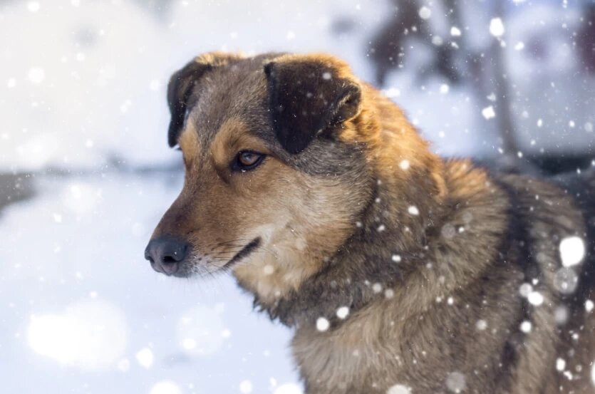 Фото: freepik / wirestock