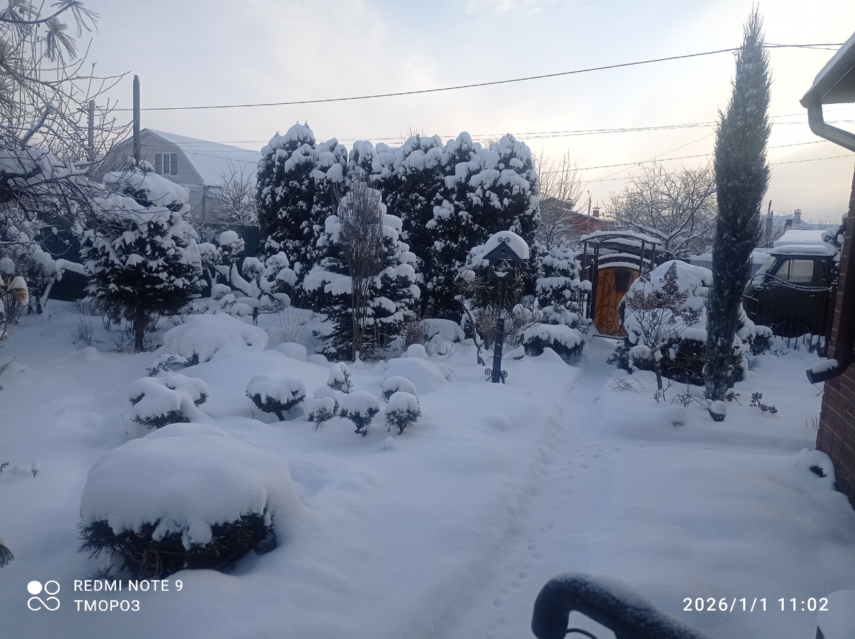 мой 2026 наступил