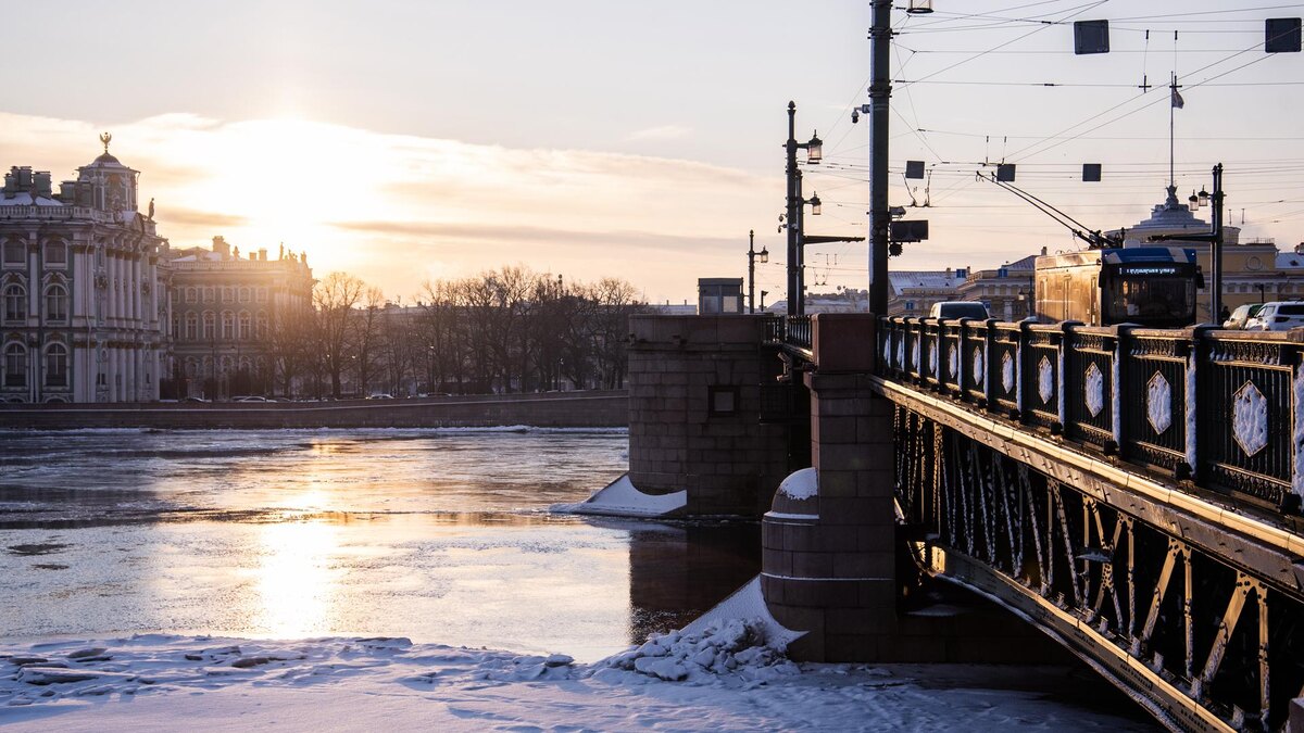    Фото: ИЗВЕСТИЯ/Телеканал «78»