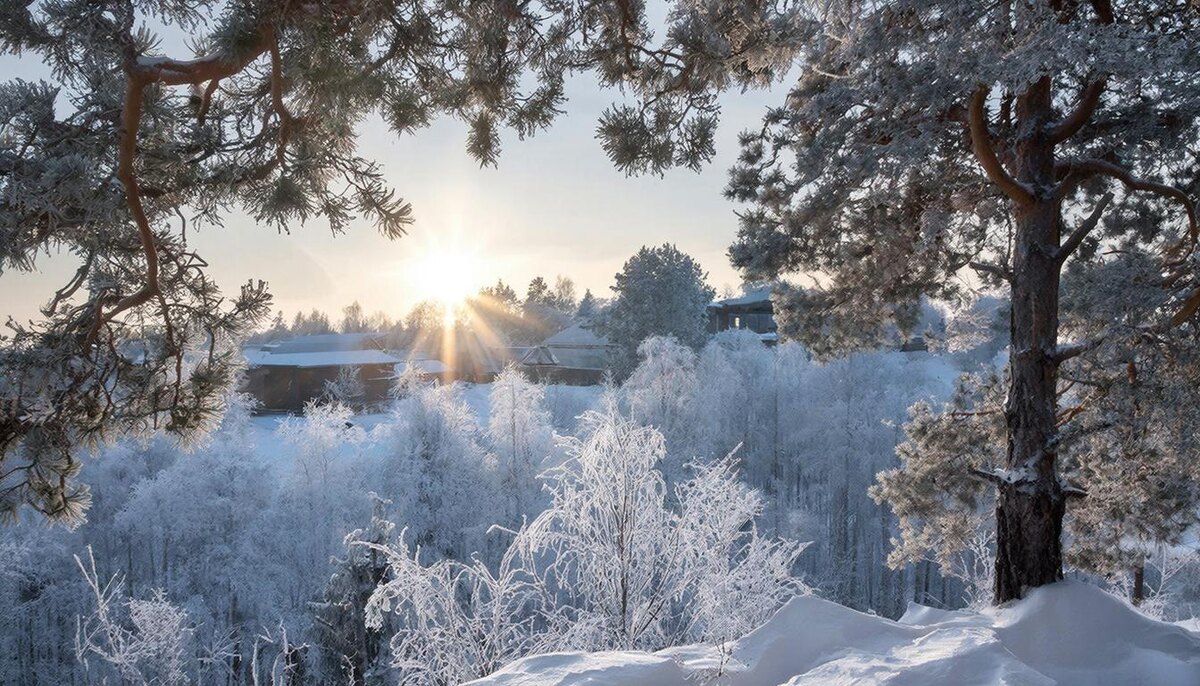 Утро после праздника