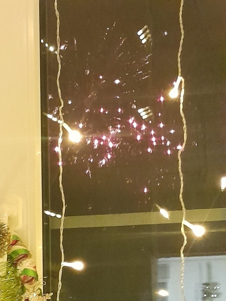     Фото: «МК в Калуге».