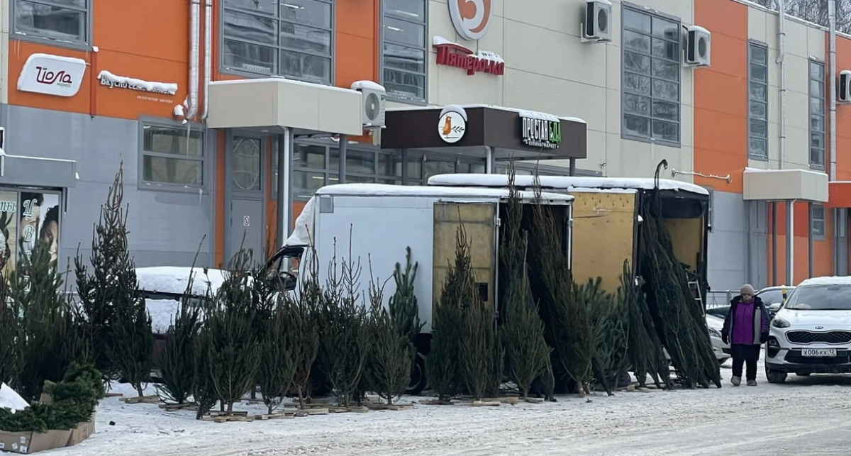    "Мэрия Йошкар-Олы"