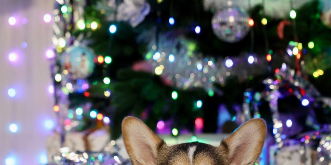 Ну вот и 2026 пришёл