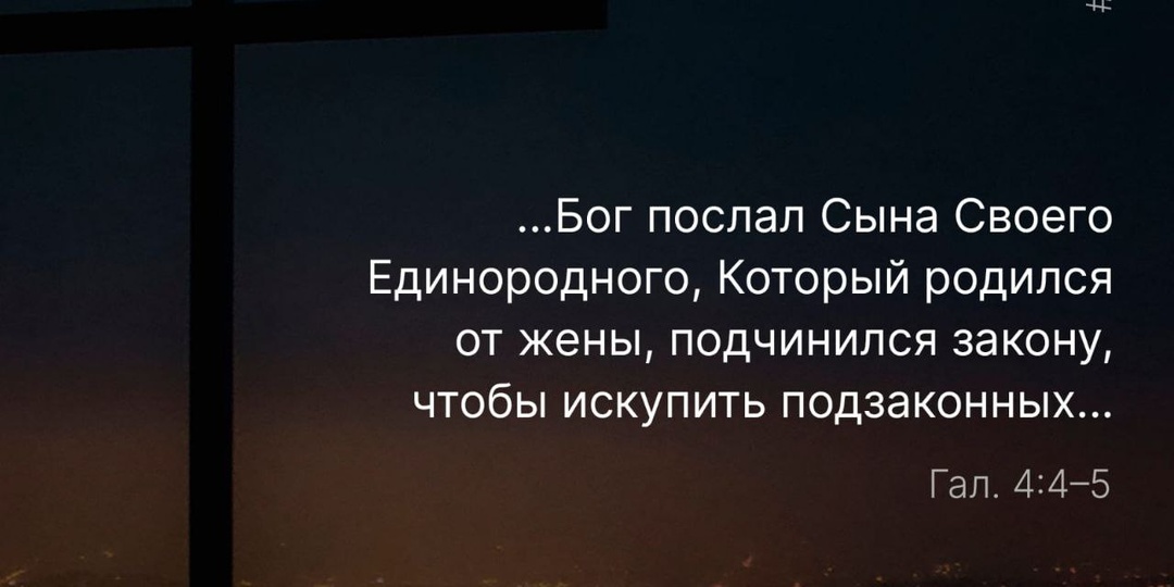 12 проповедей о Рождестве