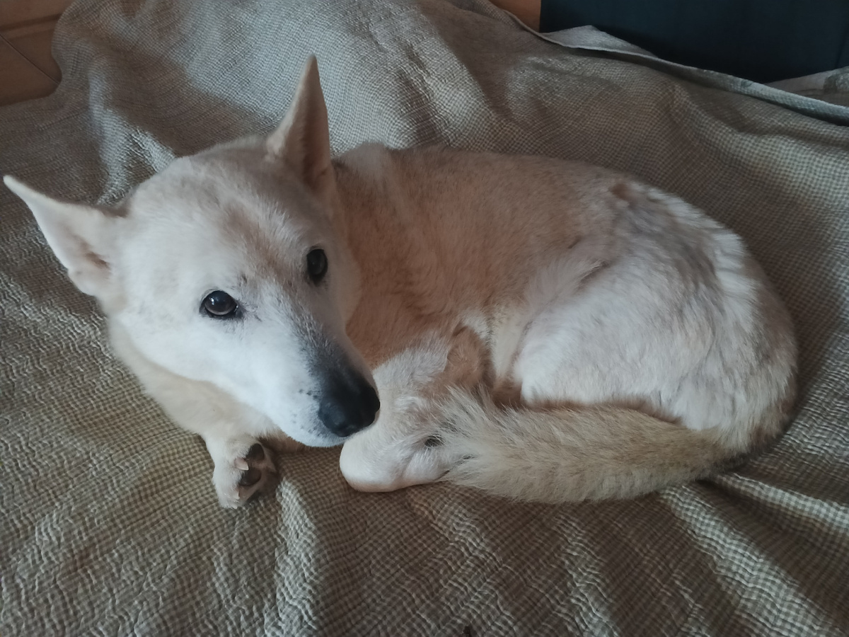 Кузьма знает толк в поаздноаани нового года