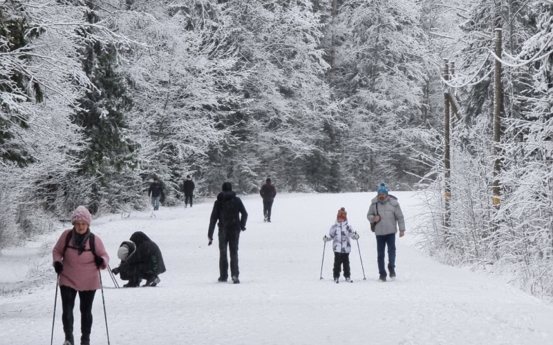    Ирина Яковлева