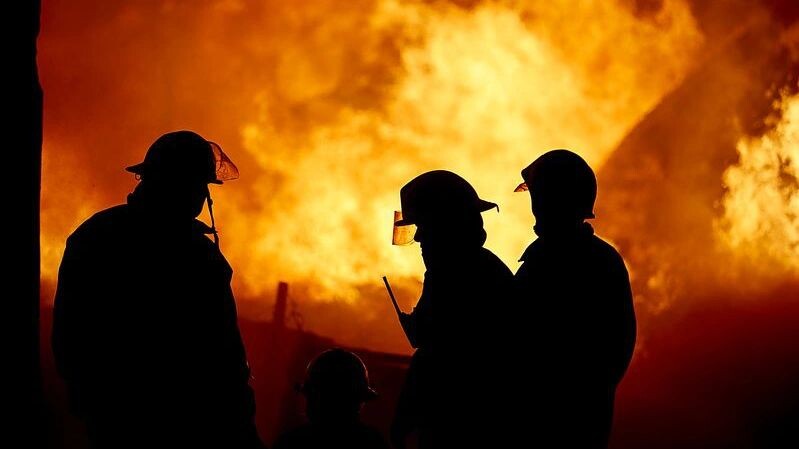    Фото: Alexis Lloret / Shutterstock / Fotodom