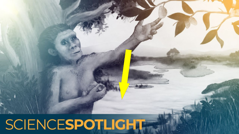    Что на самом деле говорила жизнь и смерть Льюси